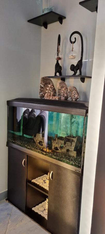Apartment Ombla Mokosica Luaran gambar